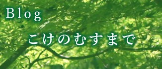 Blog こけのむすまで