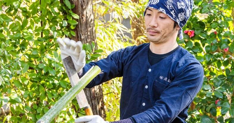 鎌倉ブランドの庭園造り